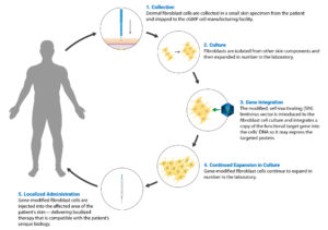 Illustration of Castle Creek Biosciences approach to cell and gene therapy manufacturing